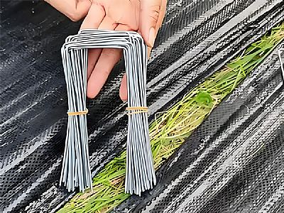 防草布專用U型釘